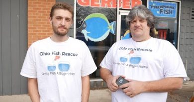 Mengenal Ohio Fish Rescue