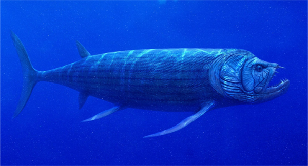 Buldog Fish, Ikan Keramat yang Tersembunyi Selama 100 Juta Tahun ...